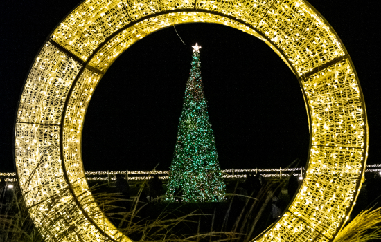 Christmas in San Antonio